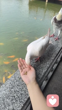 总有一些事，我们不愿它发生，却必须接受；总有些东西，我们不想知道，却必须了解；总有一些人，我们不能没有，却必须学着放手；总有些时间，我们不愿它流逝，却发现根本无能为力。