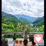 终南云栖🍡的头像