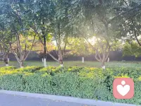 如果你现在就想有个人说说话，我在这儿。不着急，不敷衍，认真听。