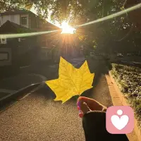 今日秋分。这一天将白日与黑夜各一半， 人间恰好走在温柔的刻度上。
正如我们的生活，会有露重风清，有不期而遇的温暖， 也会有如期而至的希望。