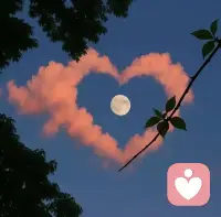 满月之上，万事会圆； 
中秋之期，远近皆安。 
 举杯邀月祝福大家：月光所至，万事胜意[福][福][红包][红包]