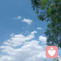 风可以吹起一张白纸却不能吹走一只蝴蝶，因为生命的意义在于不顺从。