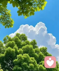 我偏爱安静 也向往自由 如今更渐渐爱上了独处 热闹常有 安静难求 一个人便是全部的世界 独处不是孤独 是成年人最奢侈的自由