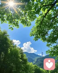 我偏爱安静 也向往自由 如今更渐渐爱上了独处 热闹常有 安静难求 一个人便是全部的世界 独处不是孤独 是成年人最奢侈的自由