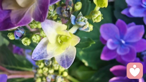不想离婚,又不想放弃情人,终究要为自己的贪心买单
