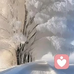 一轮明月的头像