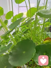 万事不必刻意求圆满，圆满自会向你走来