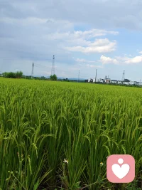 人生的每一步都会给你增添一束色彩，让世界五彩斑斓