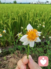 人生的每一步都会给你增添一束色彩，让世界五彩斑斓