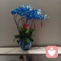 我们终其一生都在找一个能说话懂你的人。愿你遇到，也愿你在遇到之前，先成为自己的知己。