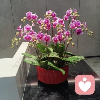 我们终其一生都在找一个能说话懂你的人。愿你遇到，也愿你在遇到之前，先成为自己的知己。