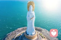 若知前世因，今生受者是，若知来世果，今生作者是！菩萨畏因，众生畏果！