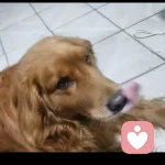 东北张姐的头像