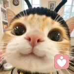 灵动歌者🐬的头像