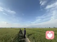 一段关系最初建立的方式，决定了它后来的走向。

人进入一段关系的方式分成三种模式:

一是通过身体连接进入。从亲密接触开始，双方觉得都到这步了何必多想，小摩擦被默契地忽略不是解决不了，而是不想让它变成问题。关系快速推进，但本该在起点确认的彼此位置、认真评估从未真正发生。后来的争吵和焦虑，其实只是在弥补开头跳过的部分。

二是通过情感确认进入。先确认我被在乎吗、被理解吗，感情到位了关系才算开始。这种模式自动给关系绑上一个条件必须持续提供那种被关心的感觉。一旦进入稳定期，反而被解读为出问题了，需要不断确认关系是否还存在，最终让人精疲力竭。

三是通过自身缺口进入。这是最隐蔽的一种，表面看起来最深情认真，但底层驱动力是找稳定感、被理解、被填补，而不是找一个具体的伴侣。对方逐渐变成情绪出口和安全来源，一旦对方稍有退缩，所有被压抑的焦虑和空虚会一次性涌上来。

三种模式起点不同，但共同点是都在关系一开始就锁定了它的目的，而没把对方当作一个独立的个体去真正认识和确认。

正解是应该先与自己建立稳定的联结，学会陪伴自己、接纳自己，对自己的快乐和不快乐负起责任--当一人在自己这里已经是完整的，才可能进入成熟的亲密关系，即两个独立个体相加，产生第三种联结(1+1=3)。

真正让自己舒服地做自己，可能比找到对的关系更关键。

换个角度，只有先把自己修好了，才可能遇到真正对的关系。