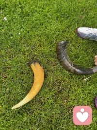 “致己书：燃烧与熄灭，皆是你。”
 
你不必成为谁的回响，亦无须活成某种象征。
生命如常流动，每个人皆是彼此世界里的短暂同行者。
你属于你自己——不隶属于任何关系、任何期待、任何定义。
像一只鸟，不必向天空解释飞翔的理由。
 
 
 
允许自己熄灭。
一万次沉入暗夜，便有一万零一次重新聚拢光芒。
熄灭并非溃败，是能量的守恒，
是下一次闪耀之前的必要静默。
 
生活本不背负过多的意义。
意义的过度追问，常常遮蔽了生动的本能。
祝你生动——如草木萌发，如溪水漫过石头，
自然而然，不问前程。
大胆向前走，即便前路未必有灯塔。
 
 
 
愿你学会自爱，以此为基础生长出自由与肆意。
在浑浊的世界里，保持善良，同时保留锋芒。
勇敢不是从不犹疑，而是犹疑过后，
依然选择忠于自己的准则。
 
祝你持续坚韧。
坚韧不是永不弯折，
而是弯折之后仍能朝着光的方向伸展。
活成自己认可的模样——那模样无需他人打分。
 
 
 
在人生的无数个分岔路口，
祝你在每一次选择中，最终走向自己。
 
你拥有属于你的光，哪怕微弱如萤；
拥有属于你的热，哪怕仅够温暖一个人的路途；
也拥有属于你的世俗，因为真实地活在人间烟火里，
本身就是一种完整的胜利。
 
你是你。
这七个字，已是全部底气。