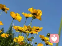 拥有今天就好好感受今天 
            没有那么多来日方长….^_^