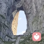 佛度有缘人的头像