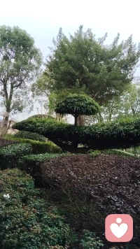 🌹🌹🌹
世界之大
爱在人间