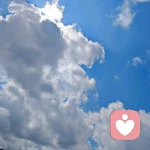 阿白的头像