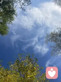 语言的力量很强大，