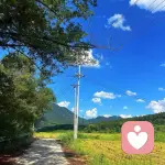 贪吃书童🍵的头像