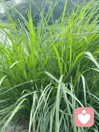 人可以怎么表达自我需求？每个人的需求都应该被理解和接纳，允许自己的内心有一块属于自己的荒地，是人性所需，在这块地里站着可能才是自己最真实的灵魂，大胆的说出来，去寻求接纳与共鸣，我会认真倾听你的声音，我可以尝试性的去延展接纳度，虽然我可能做的不够好，也请多多包涵！我是新人，请多指教！