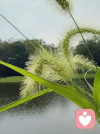 人可以怎么表达自我需求？每个人的需求都应该被理解和接纳，允许自己的内心有一块属于自己的荒地，是人性所需，在这块地里站着可能才是自己最真实的灵魂，大胆的说出来，去寻求接纳与共鸣，我会认真倾听你的声音，我可以尝试性的去延展接纳度，虽然我可能做的不够好，也请多多包涵！我是新人，请多指教！