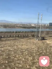 如果这世界有光，也可能有照不到的角落，在黑暗中跋涉时，不妨找个同路人，与你共频！不知我是否有这个幸运，与你共行一程！