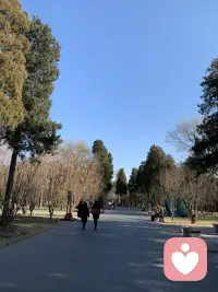 夫妻关系大于亲子关系，我总是在想一个不和谐的家庭，孩子应该是最大的受害者，他对关系的建立，成为了人生中最大的难题，因为他亲眼看过的最亲密关系是最支离破碎的，他的第一层关系就是破的，很难修复