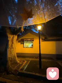物物而不物于物 念念而不念与念