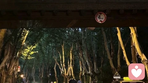没有靠山的职场人，8条应该懂的生存法则