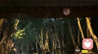 没有靠山的职场人，8条应该懂的生存法则