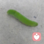 实在的倾听的头像