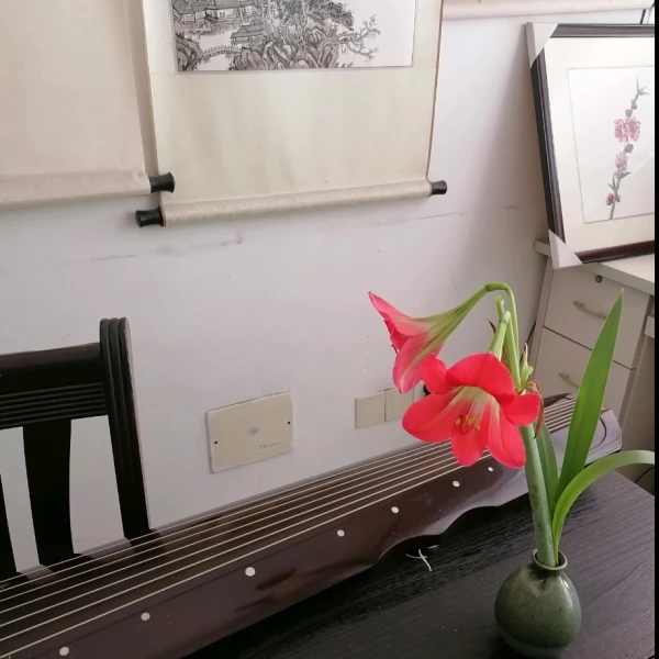 金银花倾听者