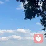 知行心理工作室的头像