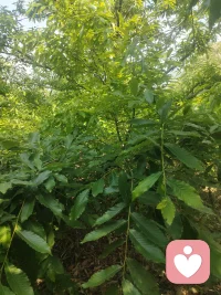 日子本就是一边经历，一边感悟。
有疲惫，有纠结，也有藏在琐碎里的平静。
不必强求事事都寻到答案，慢慢走，慢慢体会。
人间烟火，冷暖自知。