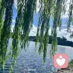 月下星星🍃的头像
