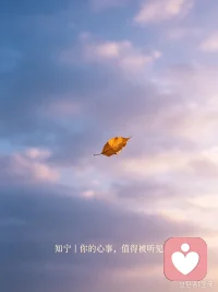 新的一天，不用硬撑着做无坚不摧的人。疲惫、迷茫、委屈都可以被接纳。知宁，做你的情绪落脚点。