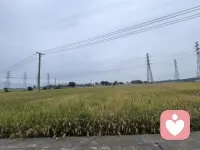 很多时候我们不是扛不住事

是心里的情绪，一直没有一个地方可以好好放下。

不用强迫自己坚强，你累了，是可以停下来喘口气的🌿