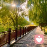 文笛的头像
