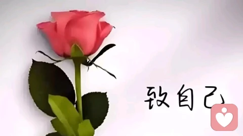 夫妻最好的相处模式，不争 不吵 不怨 懂惜