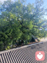早安☀️

周五的清晨，风里有一点秋凉。

如果昨晚没睡好、心里有点乱，也没关系——

不用一早就把自己调成“没事发生”的模式。

先喝口水，伸个懒腰，把今天拆成“一件件小事”：

好好回一条消息、认真吃一顿早饭、允许自己偶尔发呆。

心理学里说，情绪不需要被消灭，需要先被看见。

你不是脆弱，你只是这两天有点累。

今天，给“内在的自己”留一分钟：

你最想对镜子里的自己说哪句话？👇