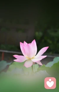 一个人久了想两个人