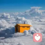 快乐旅人🕊️的头像