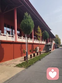 枷锁……

大多人都被无形的枷锁绑架着，一绑就是一辈子……

家庭意识的灌输，社会意识的传导，从一出生就不知不觉被种下了烙印，大家习惯了这样，所以大多数人根本感受不到……

只有当我们开始愿意认识自己，了解自己，愿意放下以前的种种标准和桎梏，降伏自己，我们才能做一个自在的人……

天地宽广，任君遨游，原来我还可以这样活……