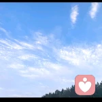 不吃糖的菇凉的头像