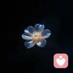 小熊小熊哟的头像