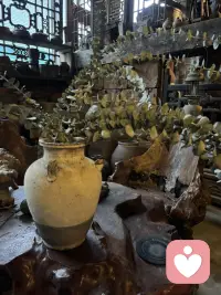 忙完一阵子，约上姐妹喝茶小聚。
放下脑子里各种烦心事，暂时停止内耗。
不用聊宏大的话题，就简单坐坐、碰个茶杯。
生活偶尔慢下来，好好喘口气，就很治愈✨
