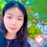 暖阳心语的头像